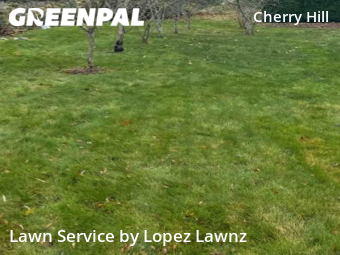 Grass Cut nearby Seattle, WA, 