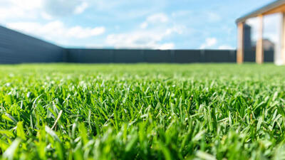 Local Lawn care service near me in Rainier, WA, 98576