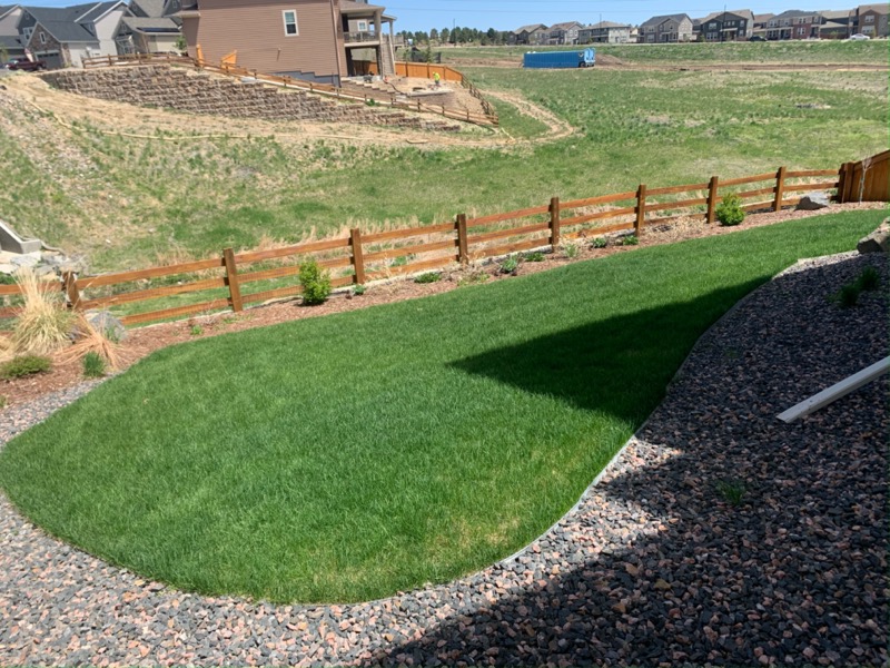 Order Lawn Care in Castle Rock, CO, 80109