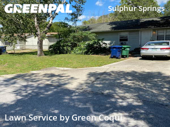 Lawn Care nearby Tampa, FL, 