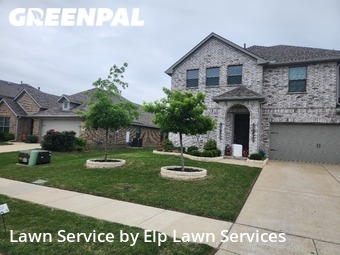 Grass Cut nearby Forney, TX, 