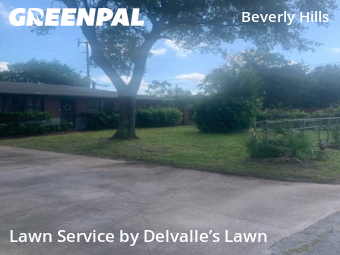 Lawn Mow nearby Daytona Beach, FL, 