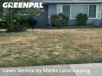 Grass Cut nearby Sacramento, CA, 