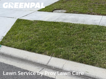 Grass Cut nearby Saint Cloud, FL, 