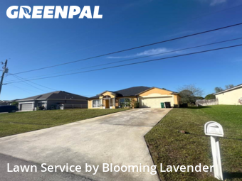 Lawn Cut nearby Port St. Lucie, FL, 
