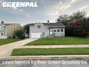 Grass Cutting nearby Trainer, DE, 