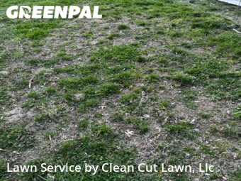 Lawn Cut nearby Lee's Summit, MO, 