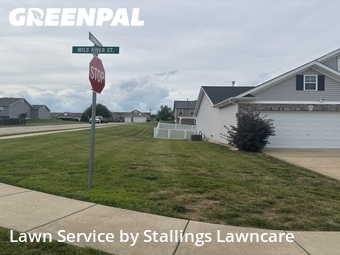 Grass Cut nearby Saint Paul, MO, 