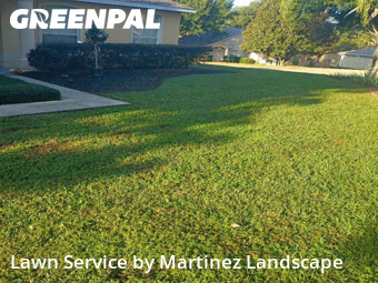 Lawn Mowin Clermont,34711,Yard Mowing by Martinez Landscape, work completed in Dec , 2025