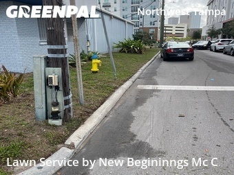 Lawn Service nearby Tampa, FL, 