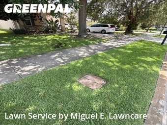 Lawn Care nearby Windermere, FL, 