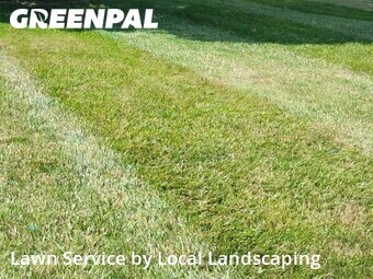 Lawn Cut nearby Lewis Center, OH, 