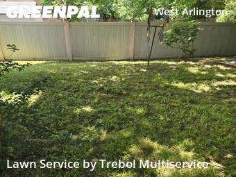 Lawn Mow nearby Arlington, TX, 