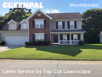 Yard Cutting nearby Matthews, NC, 