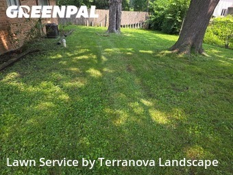 Grass Cut nearby Bolingbrook, IL, 