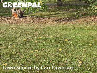 Lawn Mow nearby Fairport, NY, 