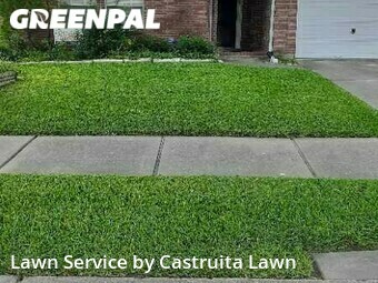 Lawn Mowing Service nearby Pearland, TX, 