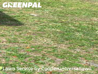 Lawn Cutting nearby Golden Glades, FL, 