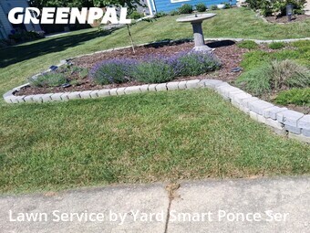 Lawn Care nearby Carol Stream, IL, 