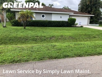 Grass Cut nearby Fort Myers, FL, 