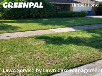 Lawn Mow nearby Brandon, FL, 