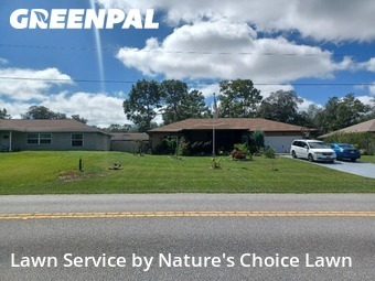 Grass Services in Citrus Springs, 34433, Mowing Services by Nature's Choice Lawn, work completed in Nov , 2025