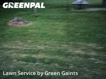 Lawn Cut nearby Kansas City, MO, 