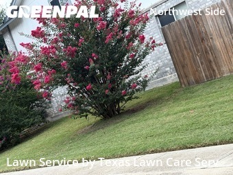 Lawn Maintenance nearby San Antonio, TX, 