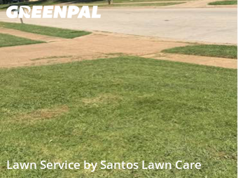 Lawn Carein Euless,76039,Yard Cutting by Santos Lawn Care , work completed in Nov , 2025