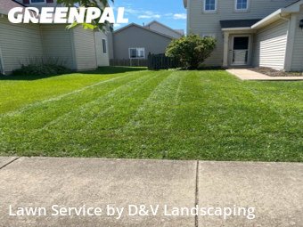 Lawn Mow nearby Joliet, IL, 