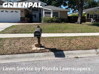 Lawn Service nearby Palm Harbor, FL, 