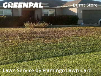 Landscaper In Cape Coral,33993,Landscapers by Flamingo Lawn Care, work completed in Jan , 2026