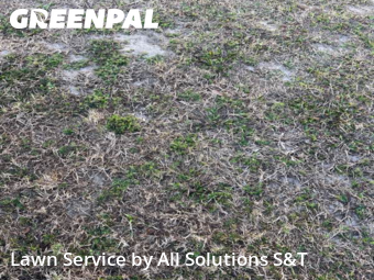 Lawn Care nearby Poinciana, FL, 