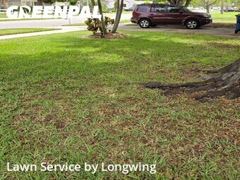 Lawn Mowing nearby Largo, FL, 