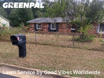 Lawn Upkeep in Albany, 31701, Lawn Mowing by Good Vibes Worldwide, work completed in Nov , 2025