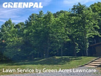 Grass Cut nearby Kingsport, TN, 