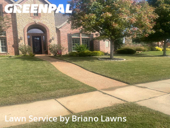 Grass Cut nearby Flower Mound, TX, 