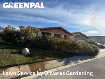 Lawn Mowingin Lancaster,93536,Lawn Service by Olivares Gardening , work completed in Jan , 2026
