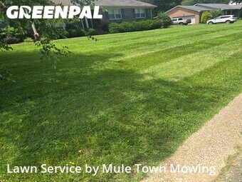 Residential Landscaping In Columbia,38401,Landscaping Maintenance by Mule Town Mowing , work completed in Jun , 2026