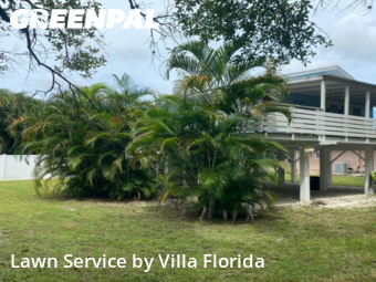 Yard Cutting in Vero Beach, 32968, Mowing Services by Villa Florida , work completed in Nov , 2025