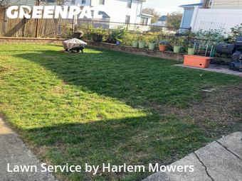 Lawn Cut nearby Queens, NY, 