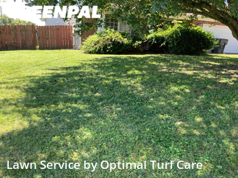 Lawn Cut nearby Mount Juliet, TN, 