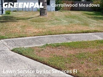 Lawn Mowing nearby Tampa, FL, 