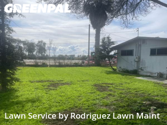 grass-care-professionals-in-Sanger-CA