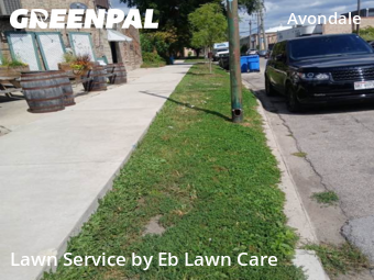 Grass Cutting nearby Chicago, IL, 