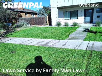 Yard Mowing nearby Denver, CO, 
