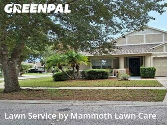 Lawn Cutting nearby Riverview, FL, 
