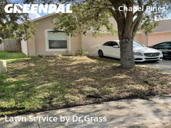 Grass Cut nearby Wesley Chapel, FL, 
