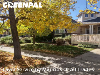 Grass Cut nearby Timnath, CO, 