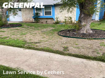 Grass Cutting nearby Austin, TX, 